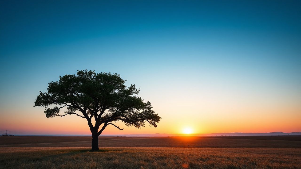Serene Single Tree Horizon at Sunset